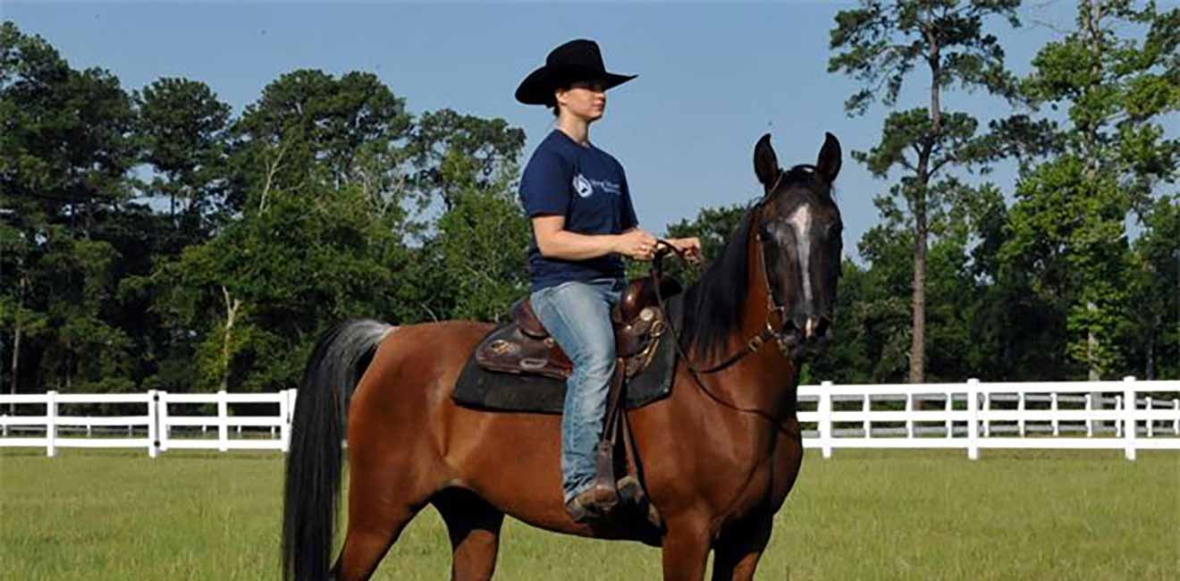 lonestararabians horse riding lessons 1320x650