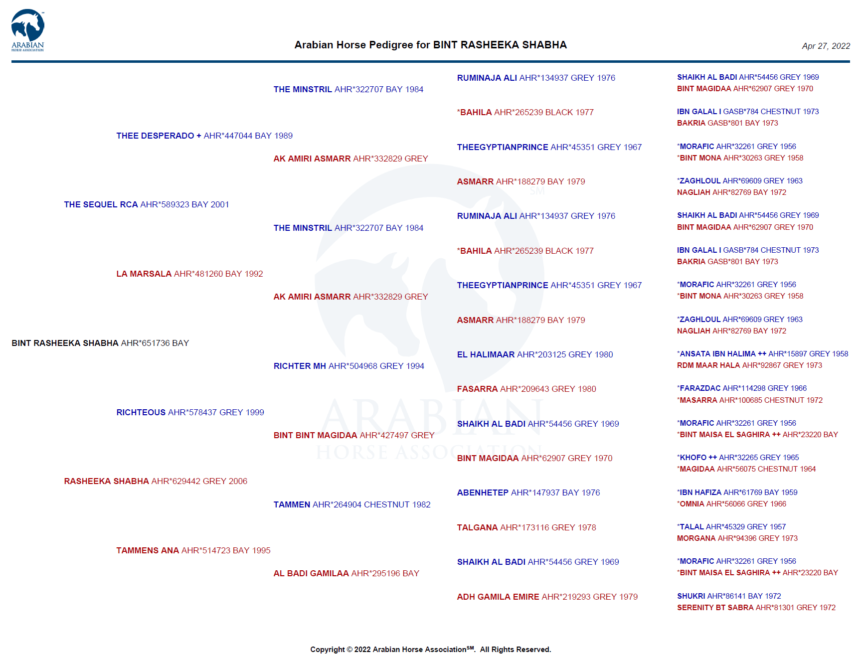 bint rasheeka shabha pedigree