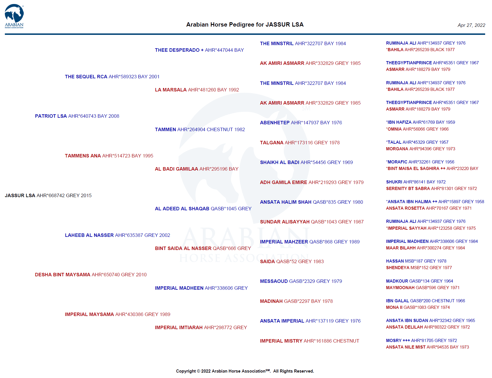 jassur lsa pedigree