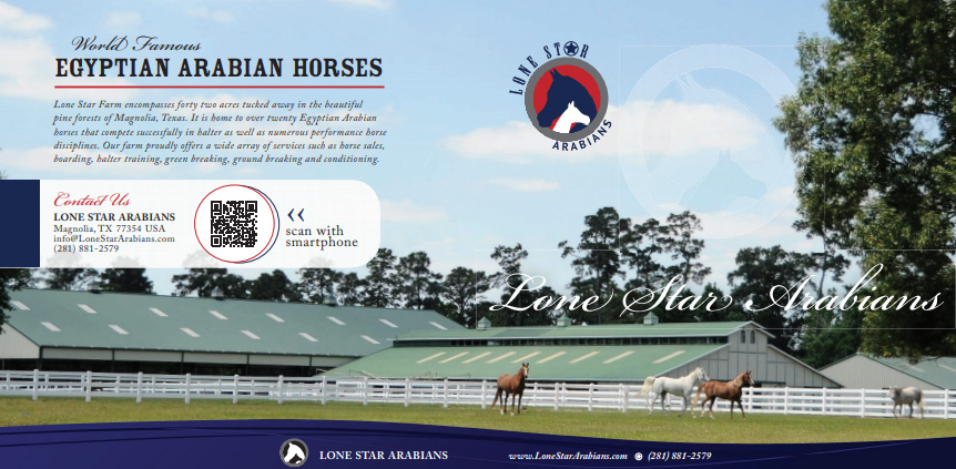 lone star arabians brochure double page