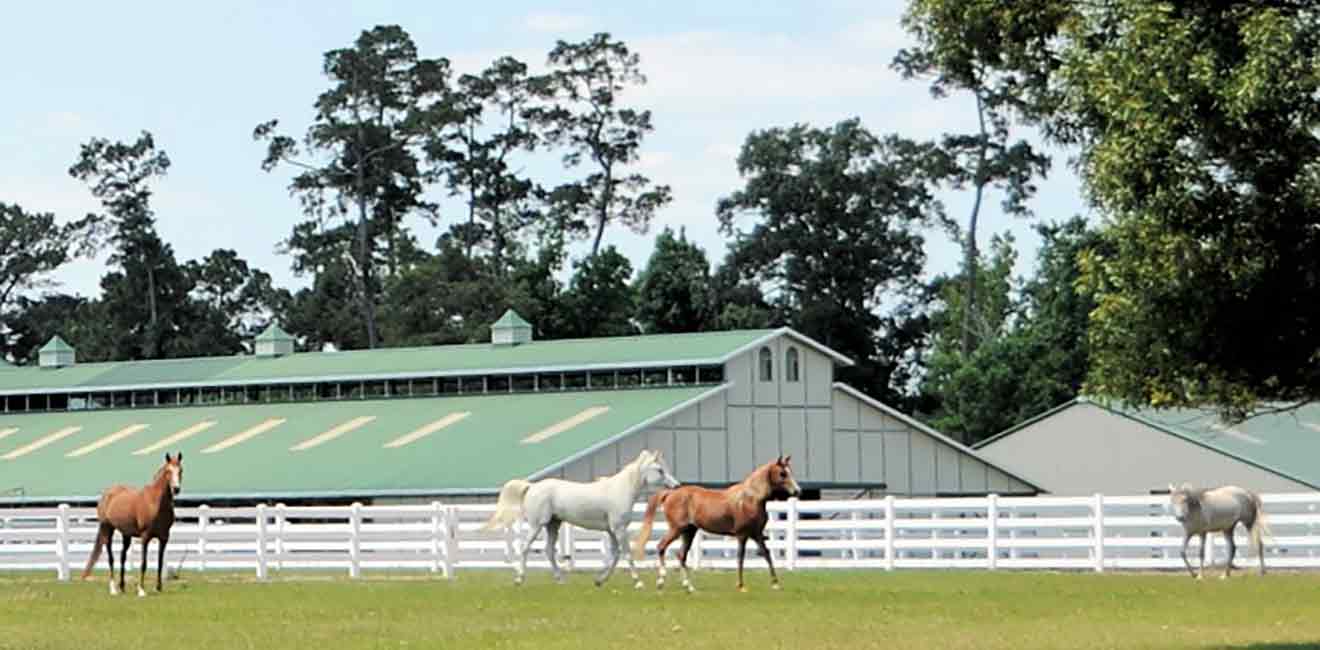 lonestararabians farm barn 1320x650