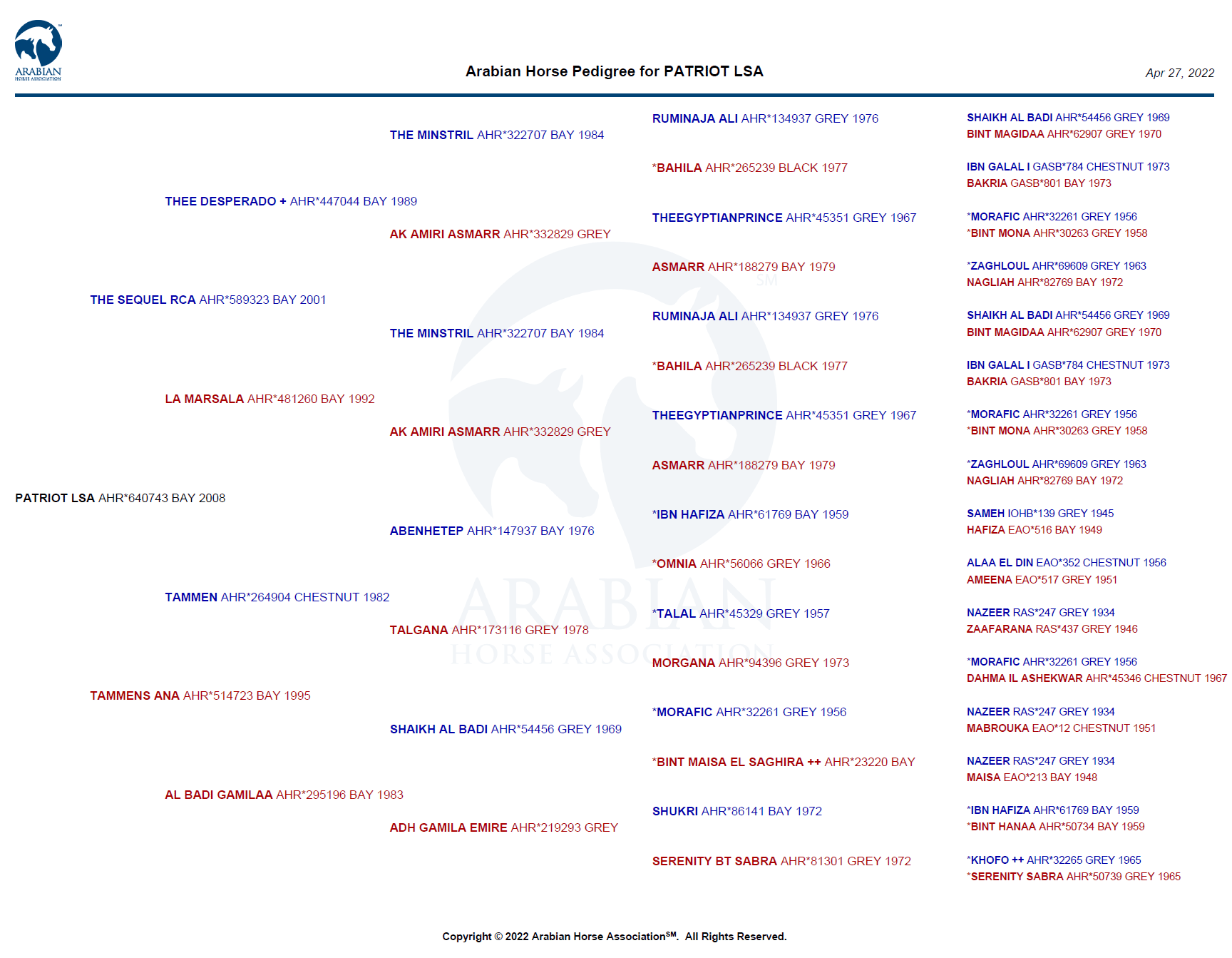 patriot lsa pedigree