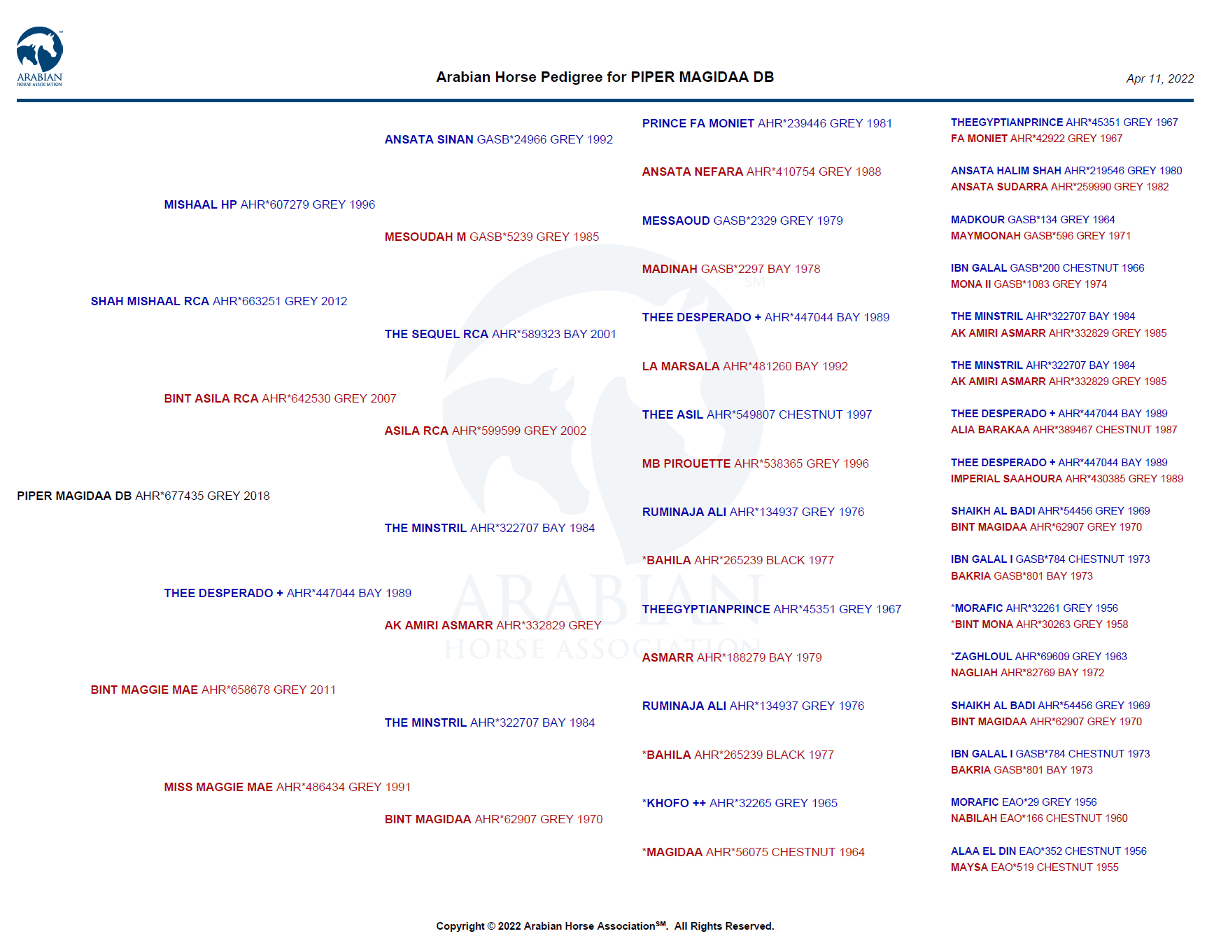 minya db pedigree